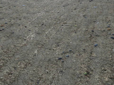 Muddy terrain and puddles 4 PBR CG Textures