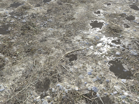 Muddy terrain and puddles 4 PBR CG テクスチャ