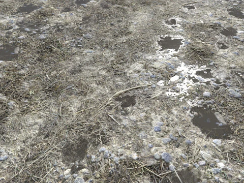 Muddy terrain and puddles 4 PBR CG Textures