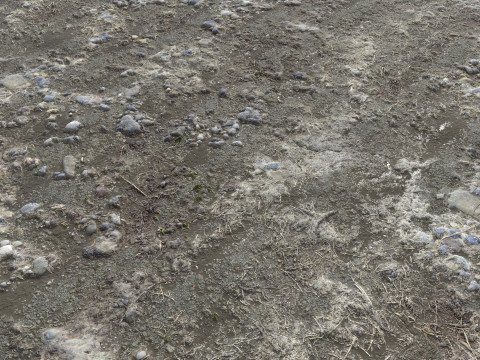 Muddy terrain and puddles 4 PBR CG テクスチャ