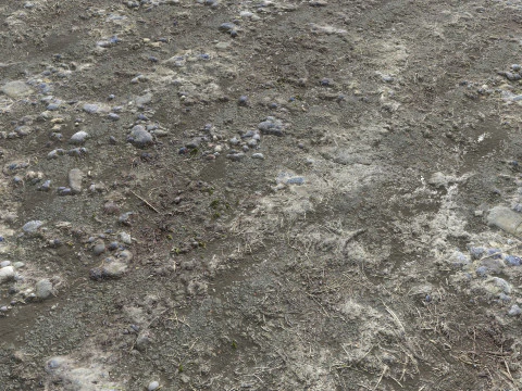 Muddy terrain and puddles 4 PBR CG Textures