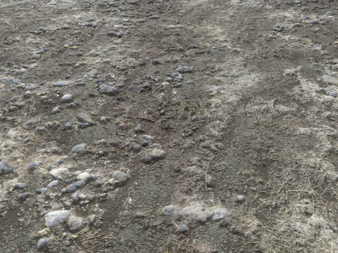 Muddy terrain and puddles 4 PBR CG テクスチャ