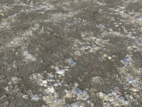 Muddy terrain and puddles 4 PBR CG テクスチャ