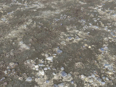 Muddy terrain and puddles 4 PBR CG Textures