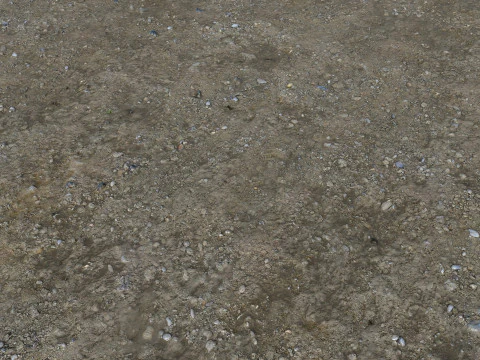 Muddy terrain and puddles 4 PBR CG Textures