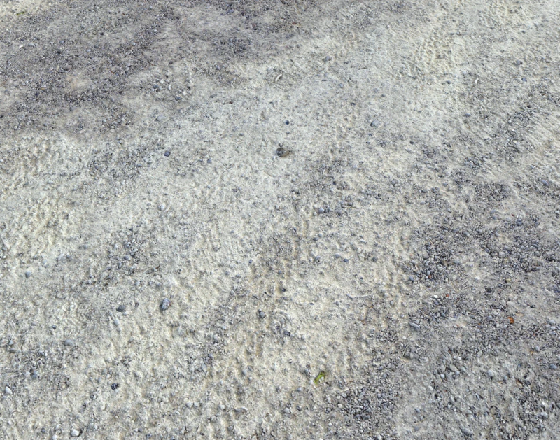 Rocky Terrain PBR Textures Pack 7 CG Textures .c4d .max .obj .3ds .fbx .stl .blend 