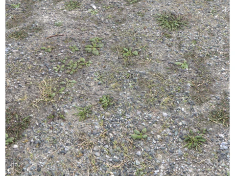 Rocky Terrain PBR Textures Pack 7 CG Textures