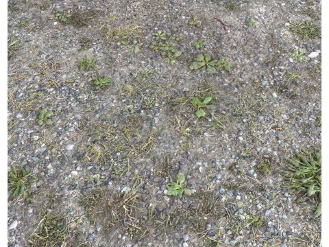 Rocky Terrain PBR Textures Pack 7 CG Textures