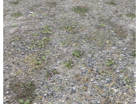 Rocky Terrain PBR Textures Pack 7 CG टेक्स्चर्स