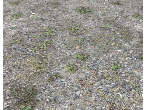 Rocky Terrain PBR Textures Pack 7 CG Textures