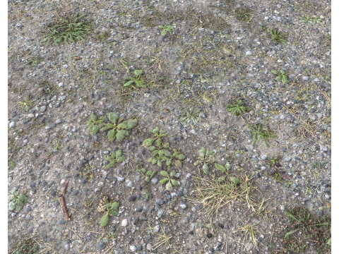 Rocky Terrain PBR Textures Pack 7 CG Textures