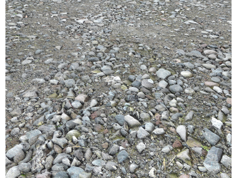 Stony and Rocky terrain PBR 1 CG टेक्स्चर्स