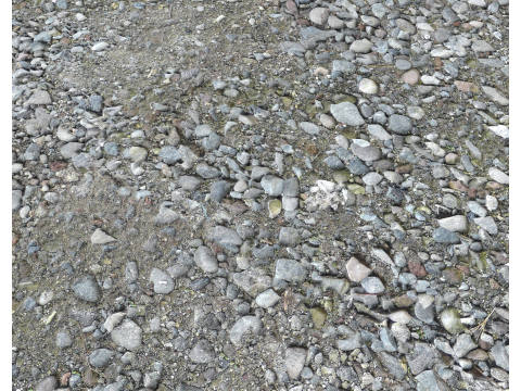 Stony and Rocky terrain PBR 1 CG टेक्स्चर्स