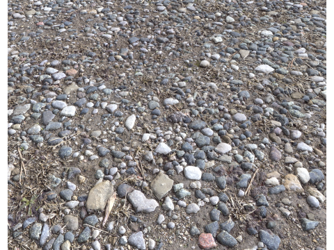 Stony and Rocky terrain PBR 1 CG टेक्स्चर्स