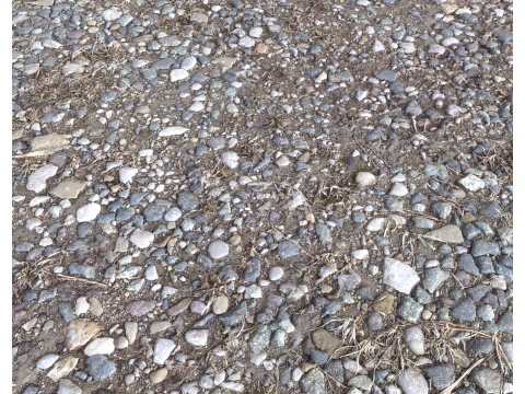 Stony and Rocky terrain PBR 1 CG Textures