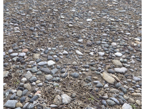 Stony and Rocky terrain PBR 1 CG टेक्स्चर्स
