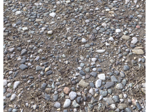 Stony and Rocky terrain PBR 1 CG टेक्स्चर्स
