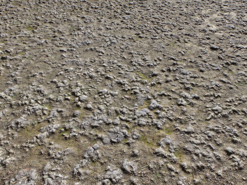 Stony and Rocky terrain PBR 1 CG 텍스쳐