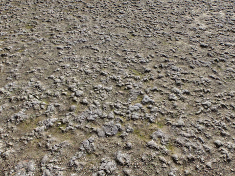 Stony and Rocky terrain PBR 1 CG Textures