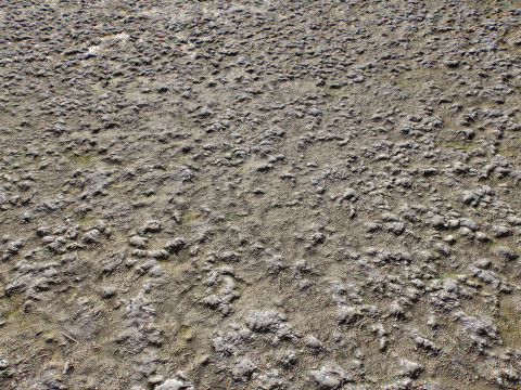 Stony and Rocky terrain PBR 1 CG 텍스쳐