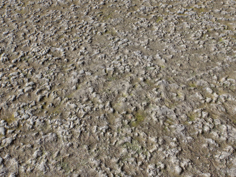 Stony and Rocky terrain PBR 1 CG 텍스쳐