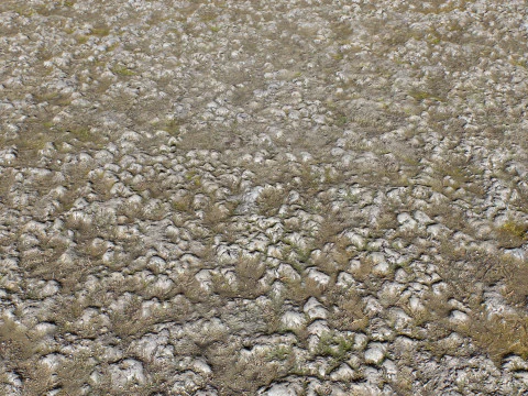 Stony and Rocky terrain PBR 1 CG Textures
