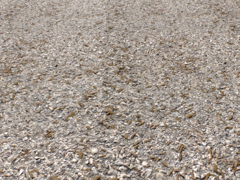 Stony and Rocky terrain PBR 1 CG 텍스쳐