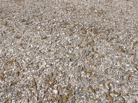 Stony and Rocky terrain PBR 1 CG 텍스쳐