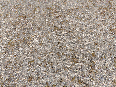 Stony and Rocky terrain PBR 1 CG 텍스쳐