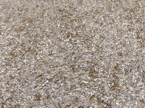 Stony and Rocky terrain PBR 1 CG Textures