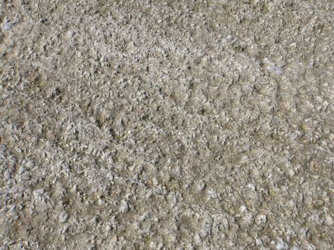 Stony and Rocky terrain PBR 3 CG 纹理