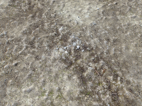 Stony and Rocky terrain PBR 3 CG 纹理