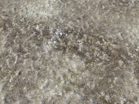 Stony and Rocky terrain PBR 3 CG 纹理