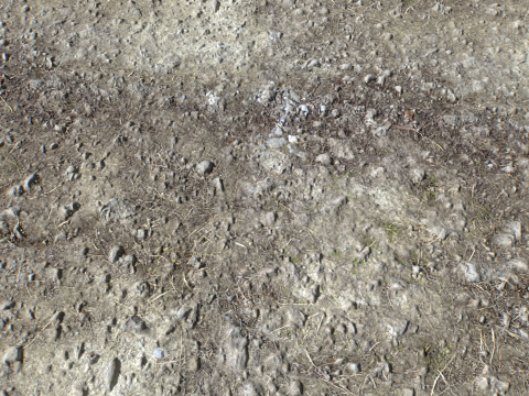 Stony and Rocky terrain PBR 3 CG 纹理