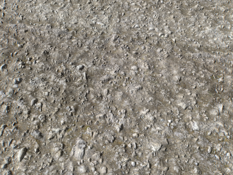 Stony and Rocky terrain PBR 3 CG 纹理