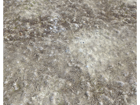 Stony and Rocky terrain PBR 3 CG 纹理