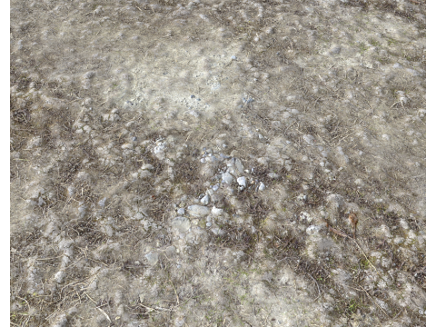 Stony and Rocky terrain PBR 3 CG 纹理