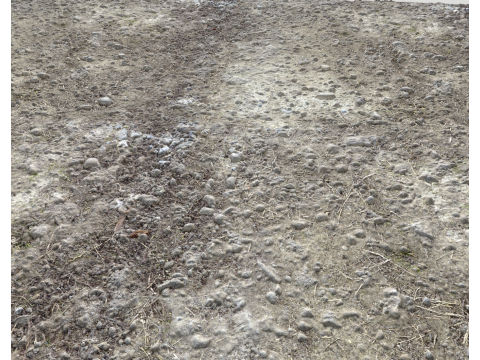 Stony and Rocky terrain PBR 3 CG 纹理