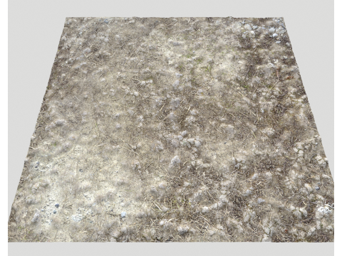 Stony and Rocky terrain PBR 3 CG 纹理