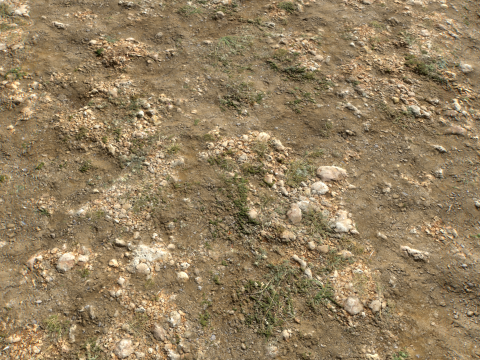 Rought Forest Tundra Textures Pack 1 CG Textures