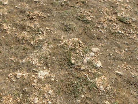 Rought Forest Tundra Textures Pack 1 CG Textures