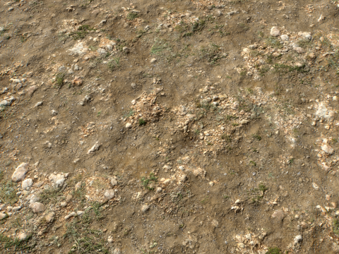 Rought Forest Tundra Textures Pack 1 CG Textures