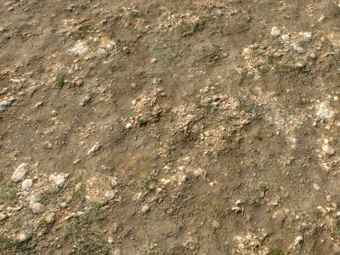 Rought Forest Tundra Textures Pack 1 CG Textures
