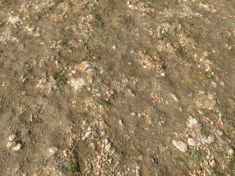 Rought Forest Tundra Textures Pack 1 CG Textures
