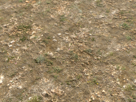 Rought Forest Tundra Textures Pack 1 CG Textures