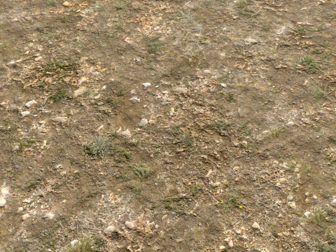 Rought Forest Tundra Textures Pack 1 CG Textures