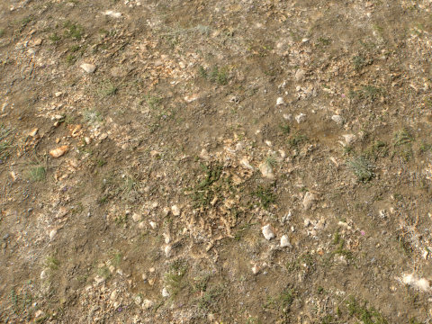 Rought Forest Tundra Textures Pack 1 CG Textures