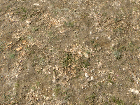 Rought Forest Tundra Textures Pack 1 CG Textures