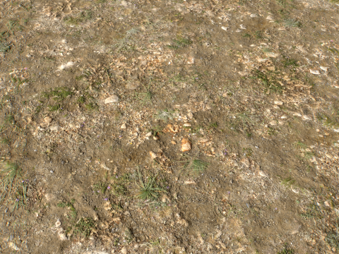 Rought Forest Tundra Textures Pack 1 CG Textures