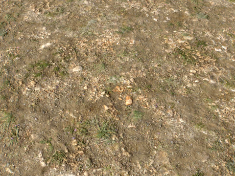 Rought Forest Tundra Textures Pack 1 CG Textures